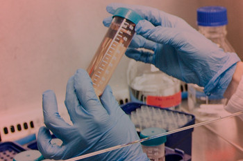 Hände einer Biomedizinerin, die Reagenzglas in Händen halten